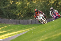 brands-hatch-photographs;brands-no-limits-trackday;cadwell-trackday-photographs;enduro-digital-images;event-digital-images;eventdigitalimages;no-limits-trackdays;peter-wileman-photography;racing-digital-images;trackday-digital-images;trackday-photos